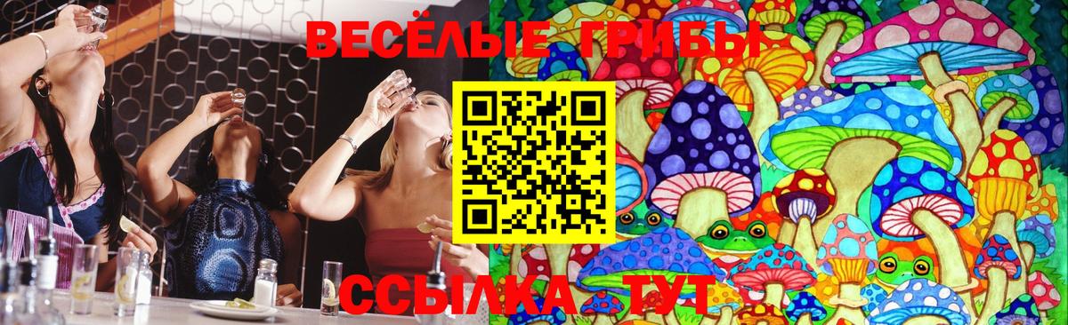 Псилоцибиновые грибы MAGIC MUSHROOMS Щёлково