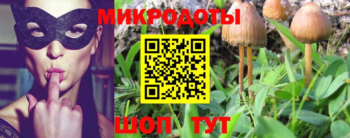 Галлюциногенные грибы GOLDEN TEACHER  Вход с VPN  Щёлково 